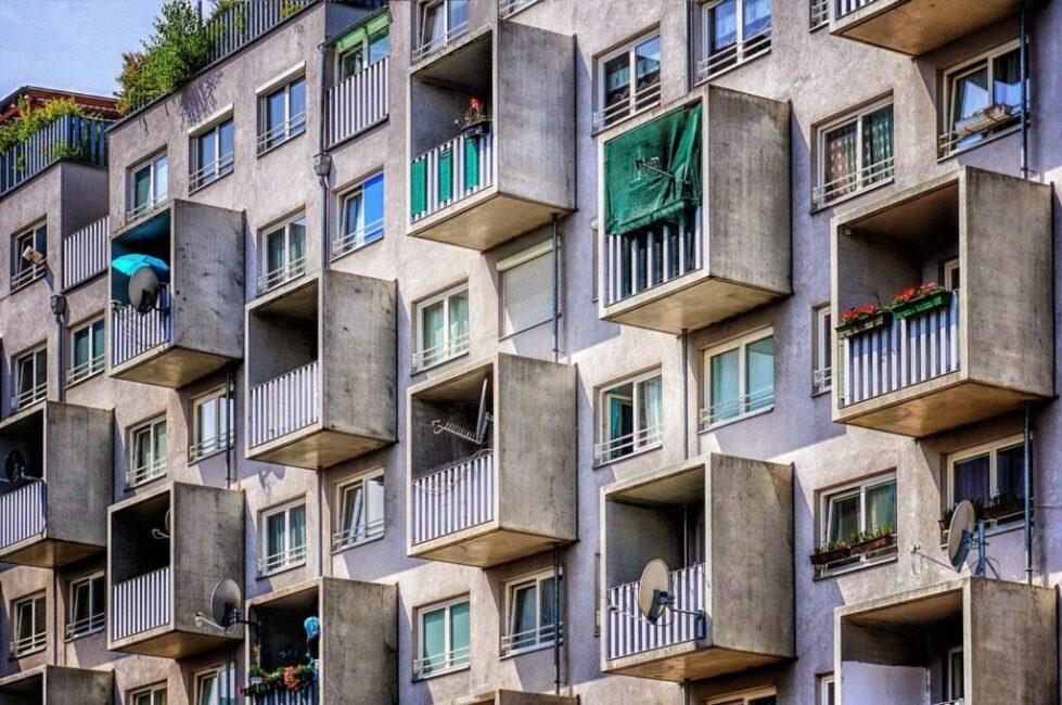 rośliny na wietrzny balkon